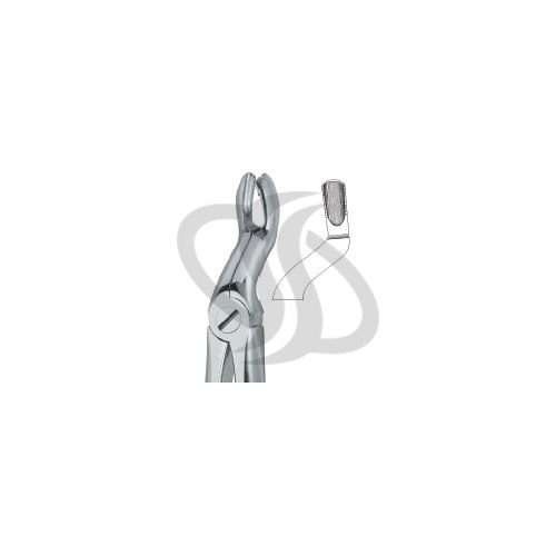 Tooth Extracting Forceps|(eng)