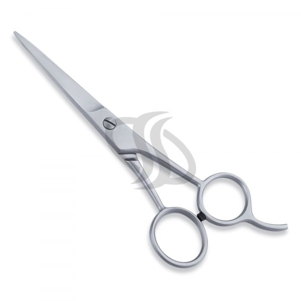 Economy Scissor