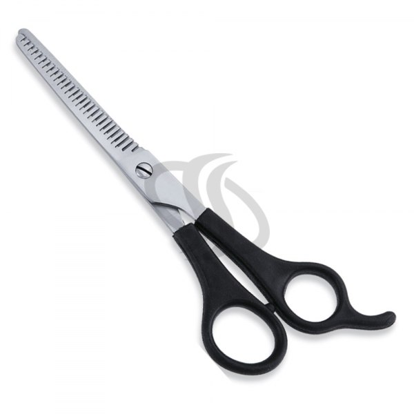 Economy Scissor