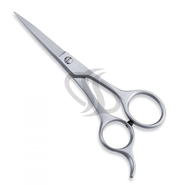 Economy Scissor