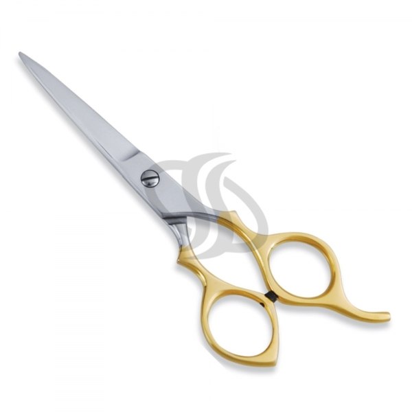 Economy Scissor