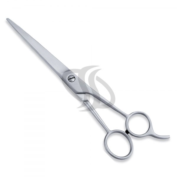 Economy Scissor