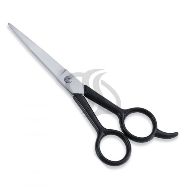 Economy Scissor