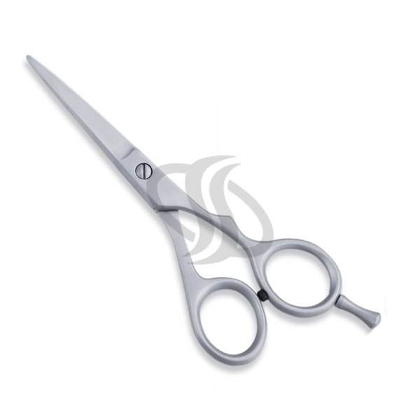 Economy Scissor