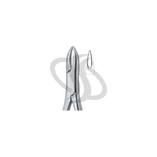 Henahan Incisors 1A 