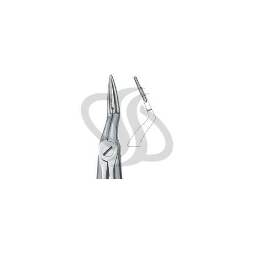 Tooth Extracting Forceps|(eng)