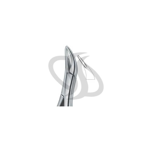 Tooth Ext Forceps Amr