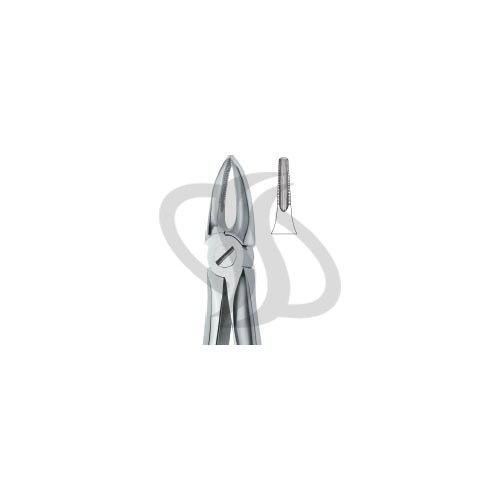 Tooth Ext Forceps