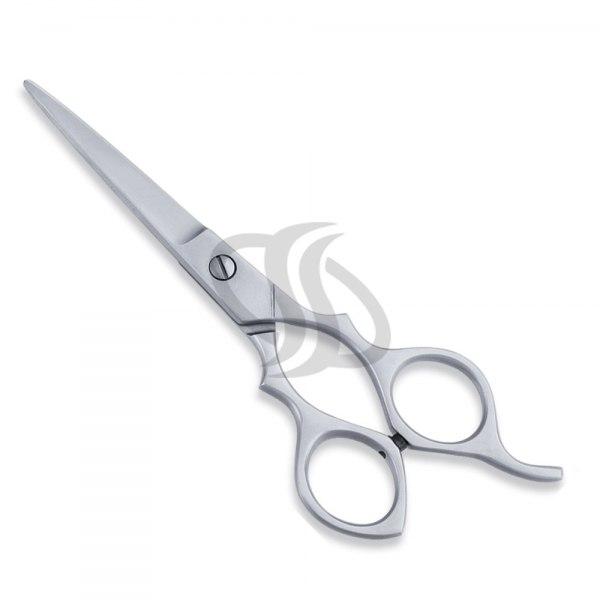 Economy Scissor