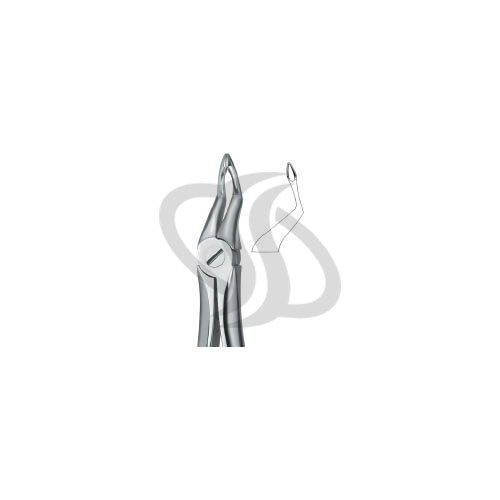 Tooth Ext Forceps