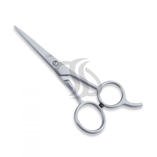 Economy Scissor